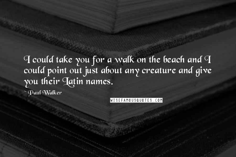 Paul Walker Quotes: I could take you for a walk on the beach and I could point out just about any creature and give you their Latin names.