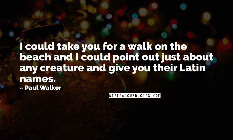 Paul Walker Quotes: I could take you for a walk on the beach and I could point out just about any creature and give you their Latin names.