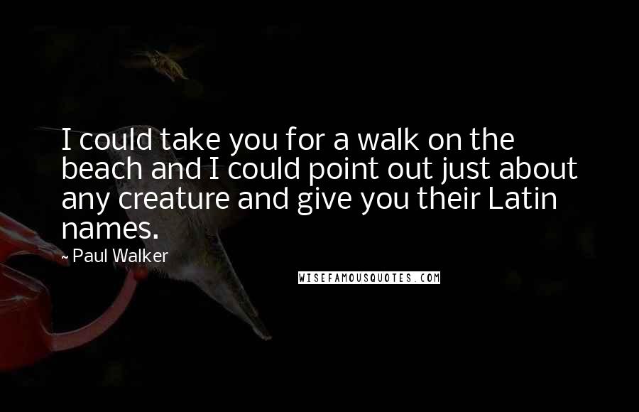 Paul Walker Quotes: I could take you for a walk on the beach and I could point out just about any creature and give you their Latin names.