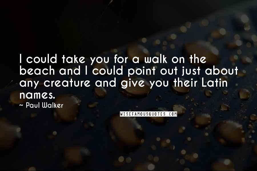 Paul Walker Quotes: I could take you for a walk on the beach and I could point out just about any creature and give you their Latin names.