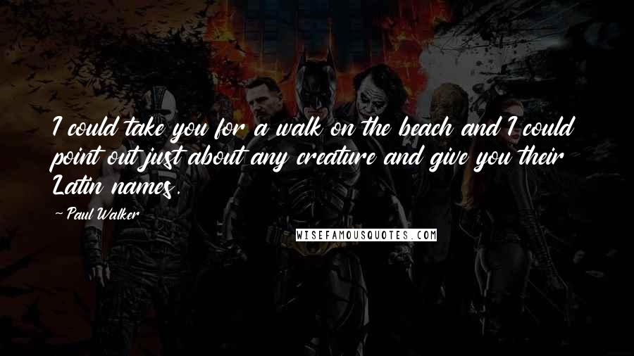 Paul Walker Quotes: I could take you for a walk on the beach and I could point out just about any creature and give you their Latin names.