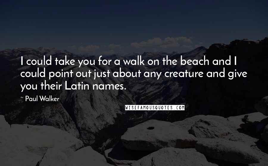 Paul Walker Quotes: I could take you for a walk on the beach and I could point out just about any creature and give you their Latin names.