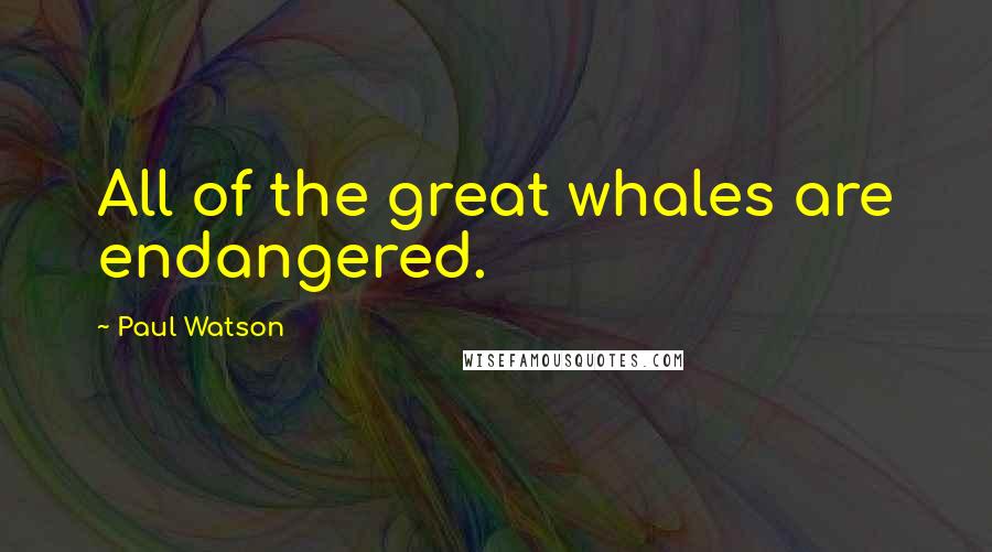 Paul Watson Quotes: All of the great whales are endangered.