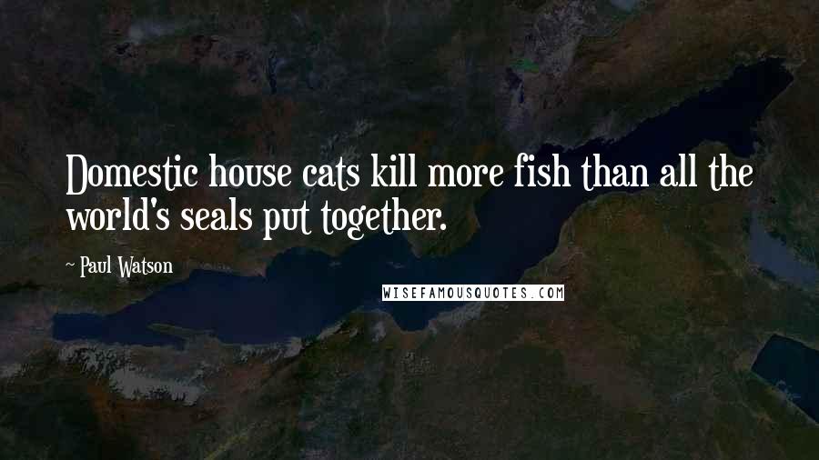 Paul Watson Quotes: Domestic house cats kill more fish than all the world's seals put together.