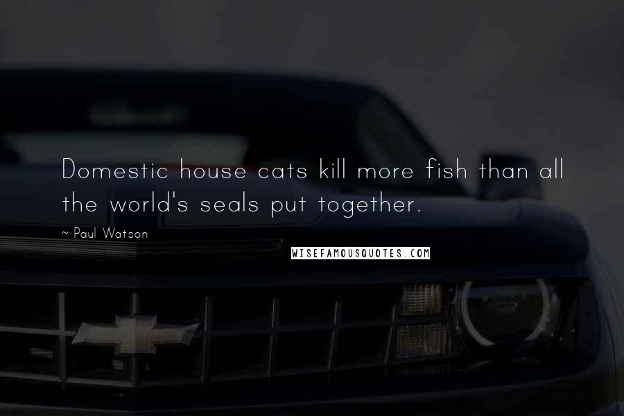 Paul Watson Quotes: Domestic house cats kill more fish than all the world's seals put together.