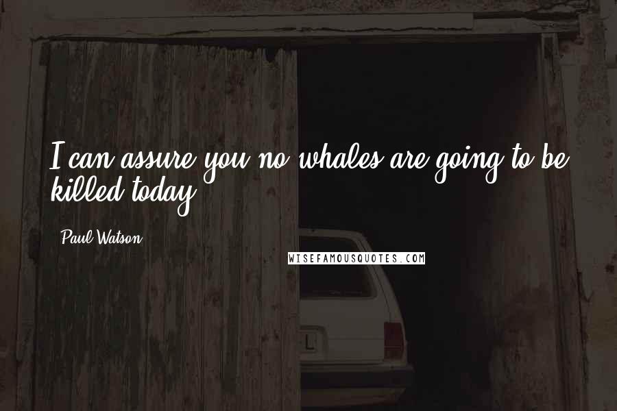 Paul Watson Quotes: I can assure you no whales are going to be killed today.