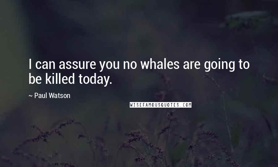 Paul Watson Quotes: I can assure you no whales are going to be killed today.