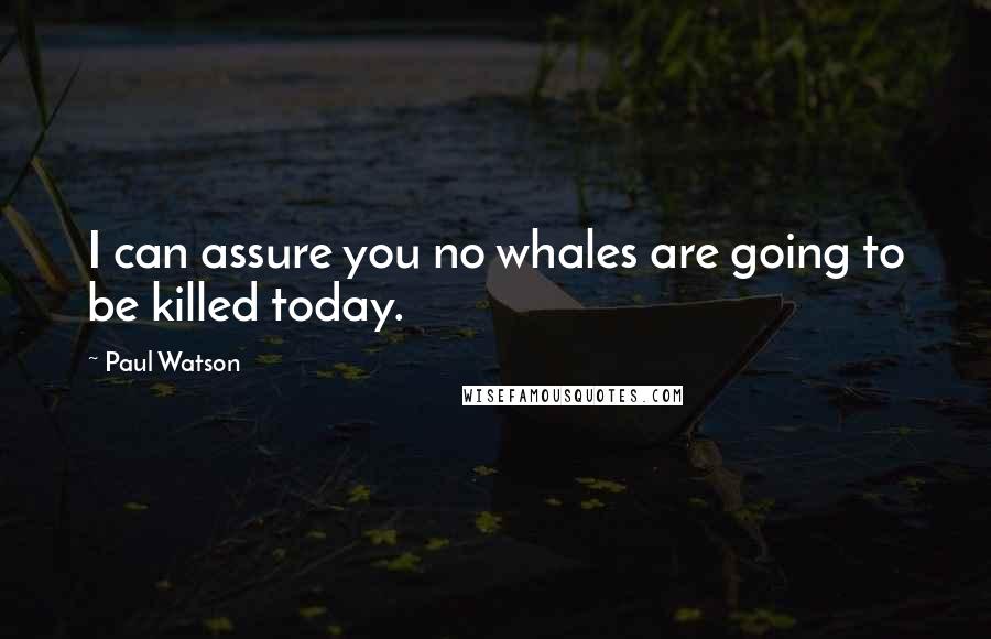 Paul Watson Quotes: I can assure you no whales are going to be killed today.