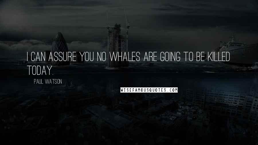 Paul Watson Quotes: I can assure you no whales are going to be killed today.