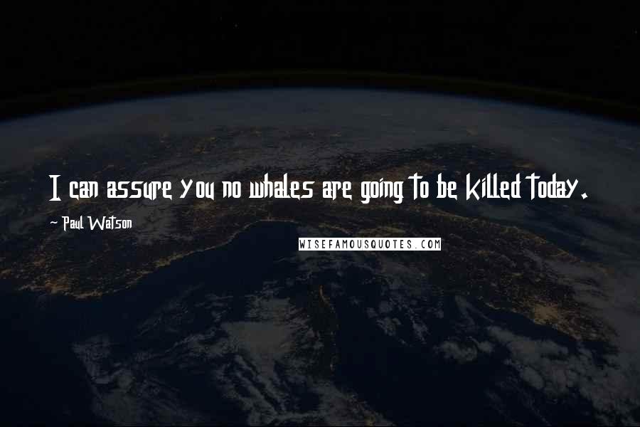 Paul Watson Quotes: I can assure you no whales are going to be killed today.
