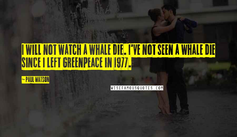Paul Watson Quotes: I will not watch a whale die. I've not seen a whale die since I left Greenpeace in 1977.