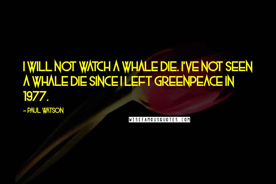 Paul Watson Quotes: I will not watch a whale die. I've not seen a whale die since I left Greenpeace in 1977.
