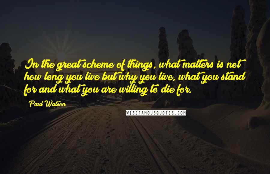 Paul Watson Quotes: In the great scheme of things, what matters is not how long you live but why you live, what you stand for and what you are willing to die for.