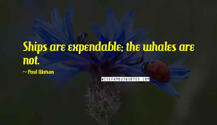 Paul Watson Quotes: Ships are expendable; the whales are not.