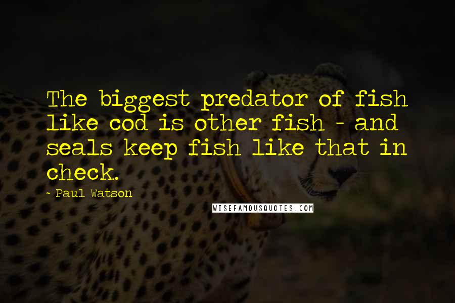 Paul Watson Quotes: The biggest predator of fish like cod is other fish - and seals keep fish like that in check.