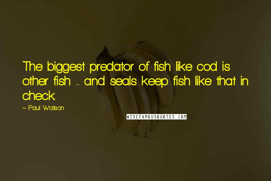 Paul Watson Quotes: The biggest predator of fish like cod is other fish - and seals keep fish like that in check.