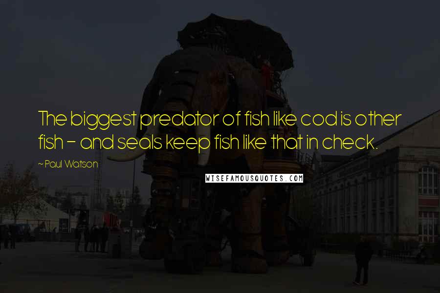 Paul Watson Quotes: The biggest predator of fish like cod is other fish - and seals keep fish like that in check.