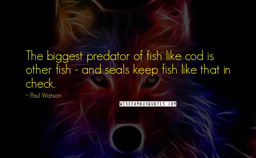 Paul Watson Quotes: The biggest predator of fish like cod is other fish - and seals keep fish like that in check.