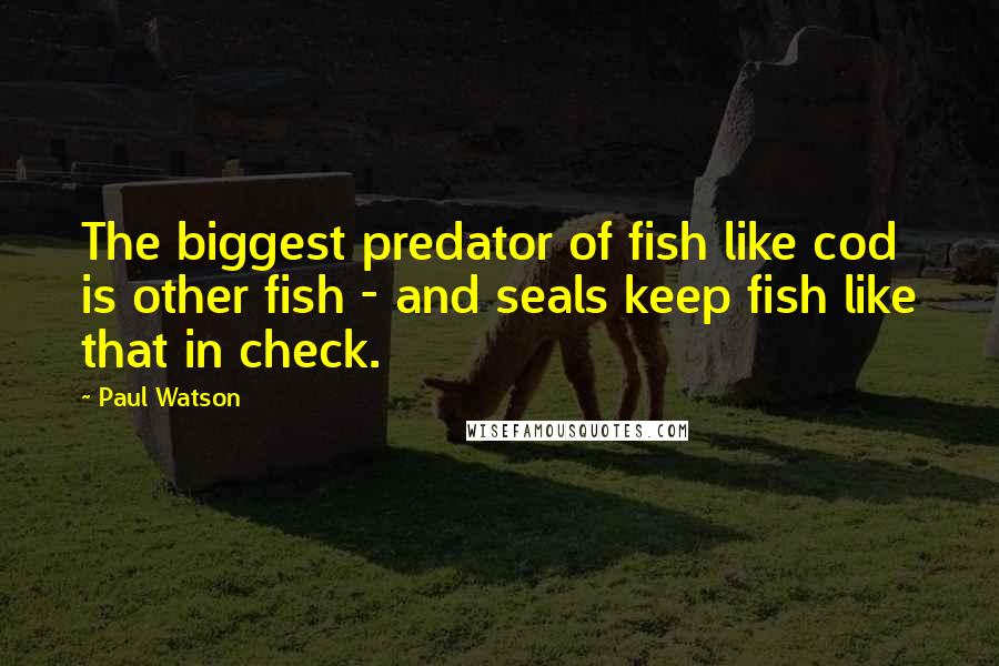 Paul Watson Quotes: The biggest predator of fish like cod is other fish - and seals keep fish like that in check.