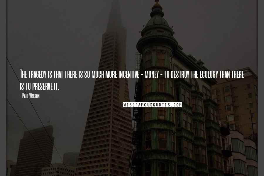 Paul Watson Quotes: The tragedy is that there is so much more incentive - money - to destroy the ecology than there is to preserve it.