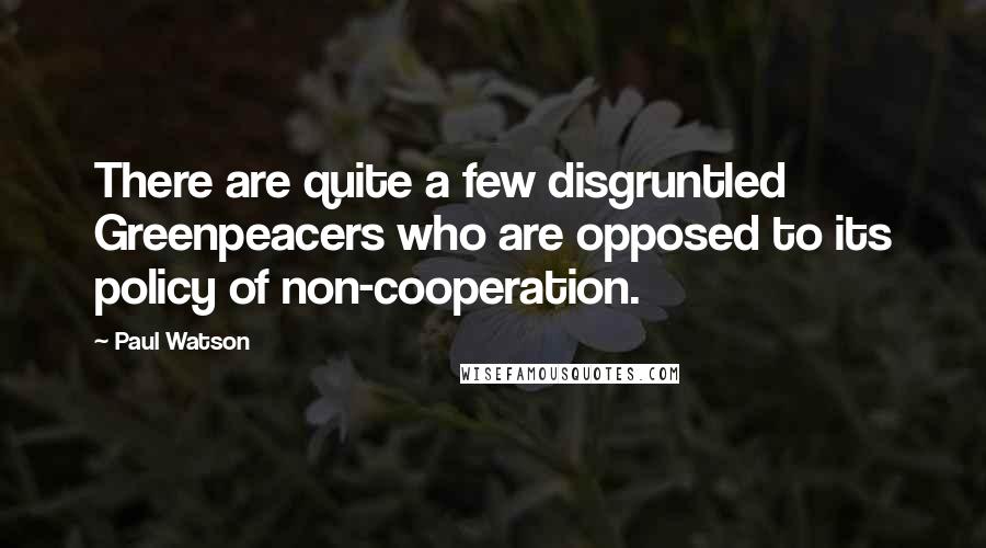 Paul Watson Quotes: There are quite a few disgruntled Greenpeacers who are opposed to its policy of non-cooperation.