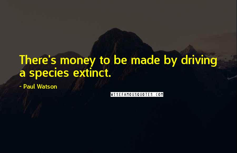 Paul Watson Quotes: There's money to be made by driving a species extinct.