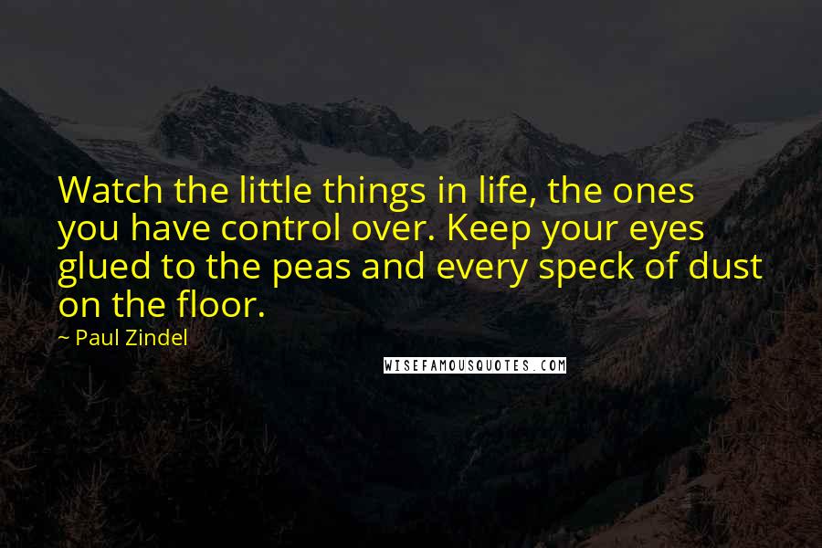 Paul Zindel Quotes: Watch the little things in life, the ones you have control over. Keep your eyes glued to the peas and every speck of dust on the floor.