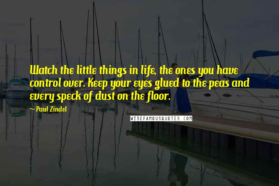Paul Zindel Quotes: Watch the little things in life, the ones you have control over. Keep your eyes glued to the peas and every speck of dust on the floor.