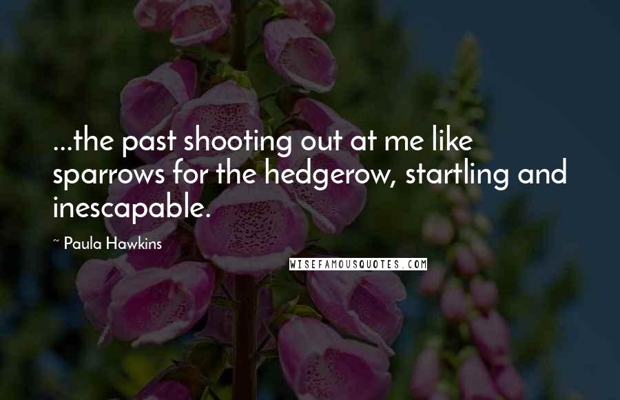 Paula Hawkins Quotes: ...the past shooting out at me like sparrows for the hedgerow, startling and inescapable.