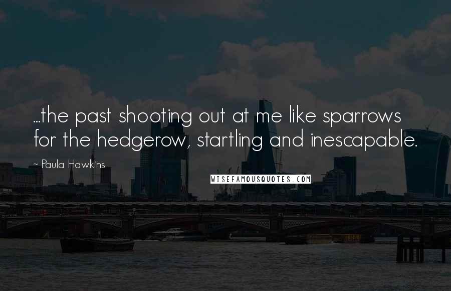Paula Hawkins Quotes: ...the past shooting out at me like sparrows for the hedgerow, startling and inescapable.
