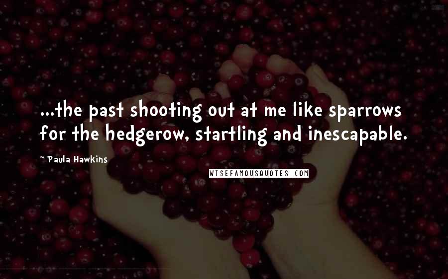 Paula Hawkins Quotes: ...the past shooting out at me like sparrows for the hedgerow, startling and inescapable.