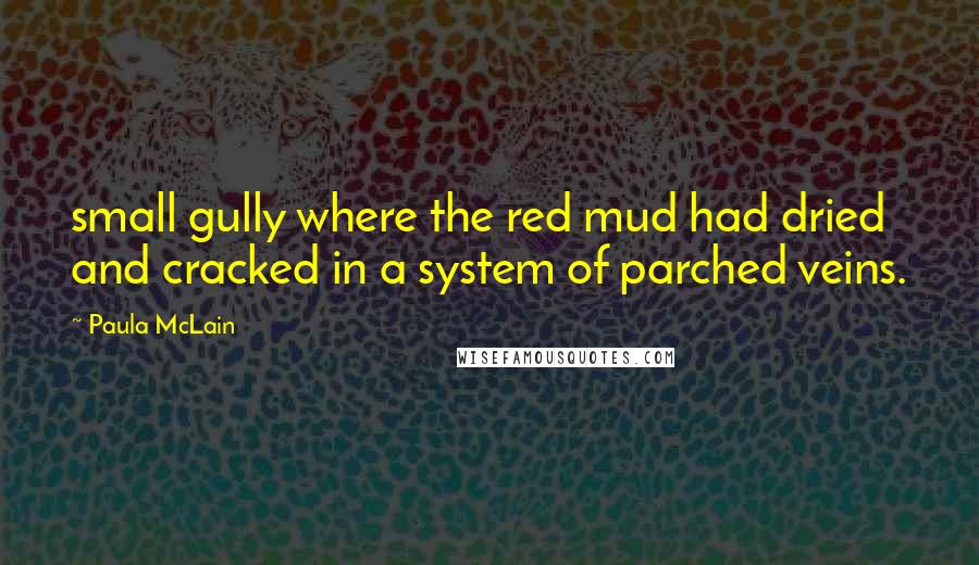 Paula McLain Quotes: small gully where the red mud had dried and cracked in a system of parched veins.