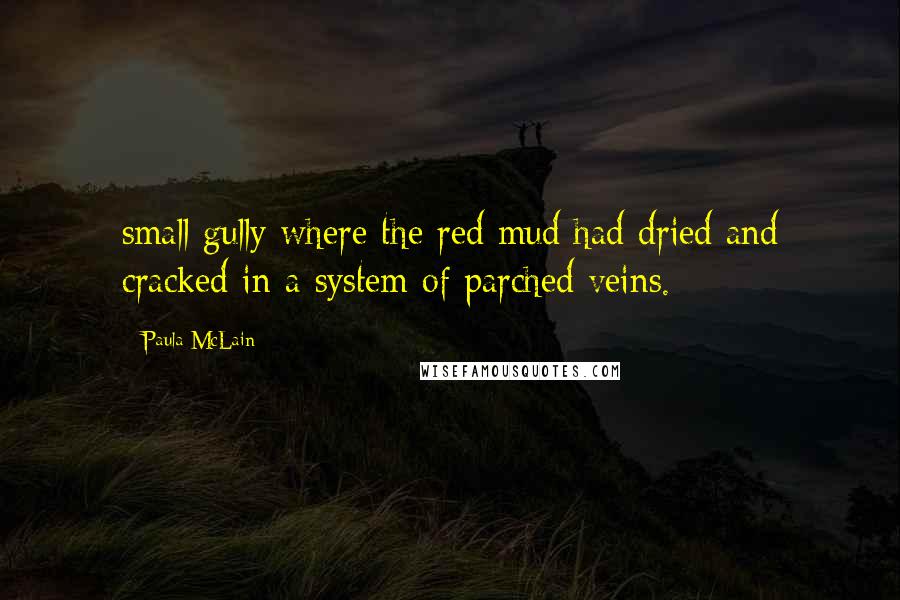 Paula McLain Quotes: small gully where the red mud had dried and cracked in a system of parched veins.