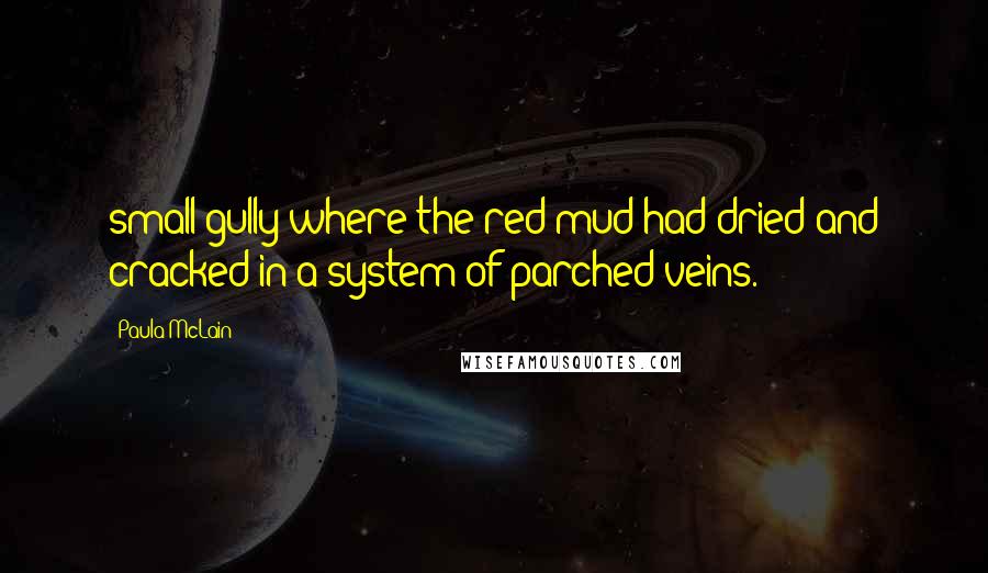 Paula McLain Quotes: small gully where the red mud had dried and cracked in a system of parched veins.
