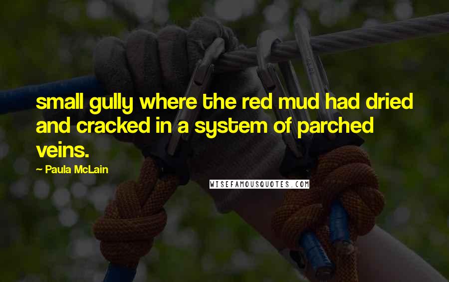 Paula McLain Quotes: small gully where the red mud had dried and cracked in a system of parched veins.