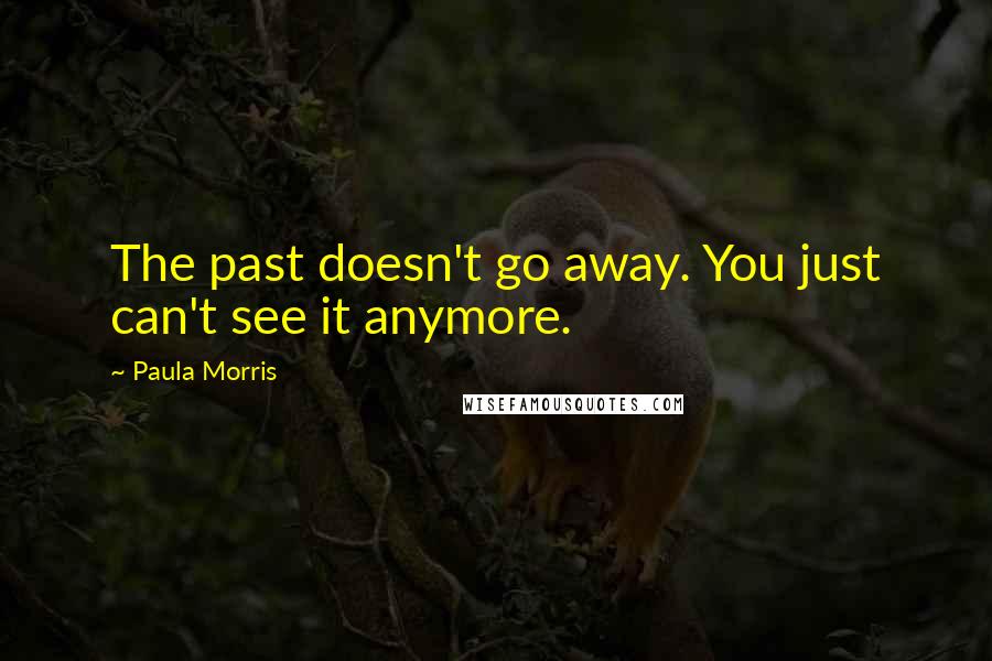 Paula Morris Quotes: The past doesn't go away. You just can't see it anymore.