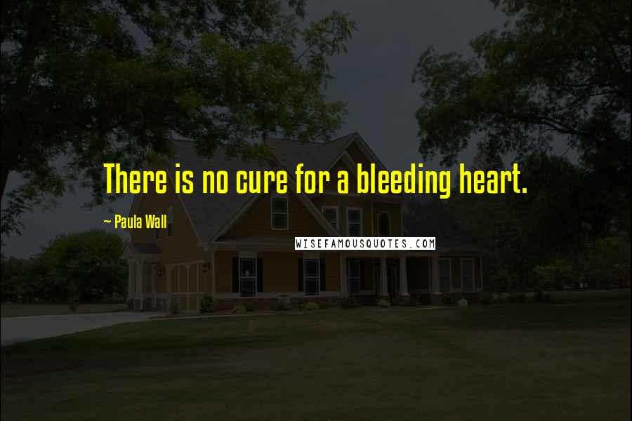 Paula Wall Quotes: There is no cure for a bleeding heart.