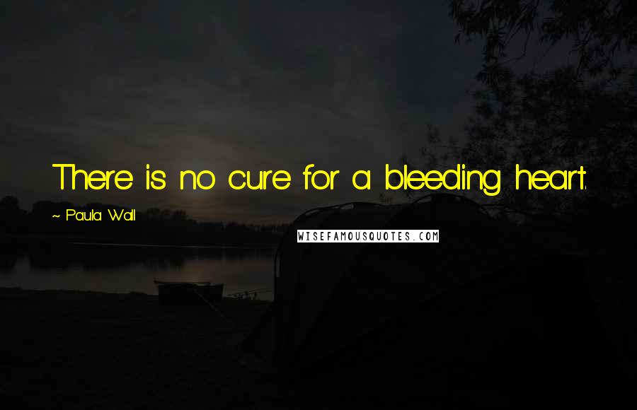 Paula Wall Quotes: There is no cure for a bleeding heart.