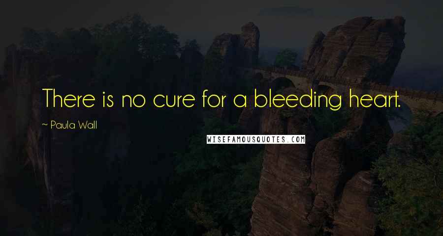 Paula Wall Quotes: There is no cure for a bleeding heart.