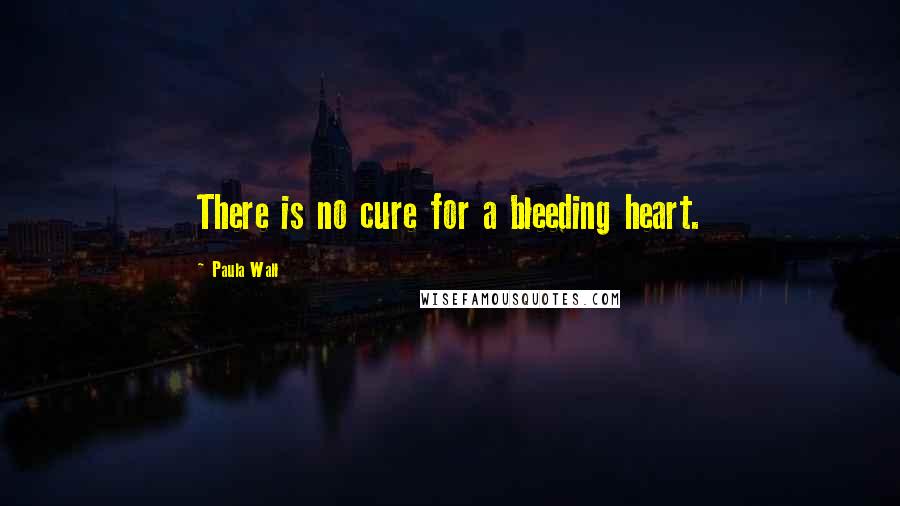 Paula Wall Quotes: There is no cure for a bleeding heart.