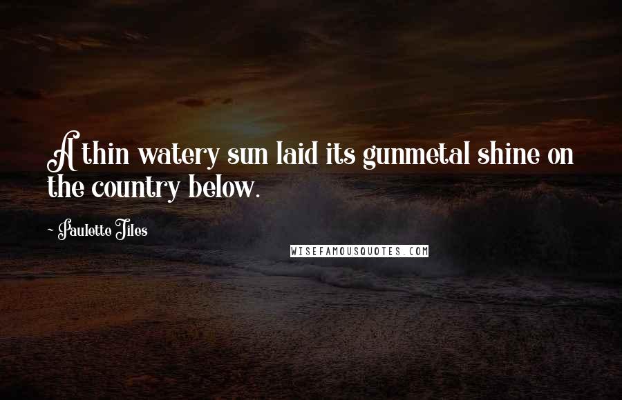 Paulette Jiles Quotes: A thin watery sun laid its gunmetal shine on the country below.