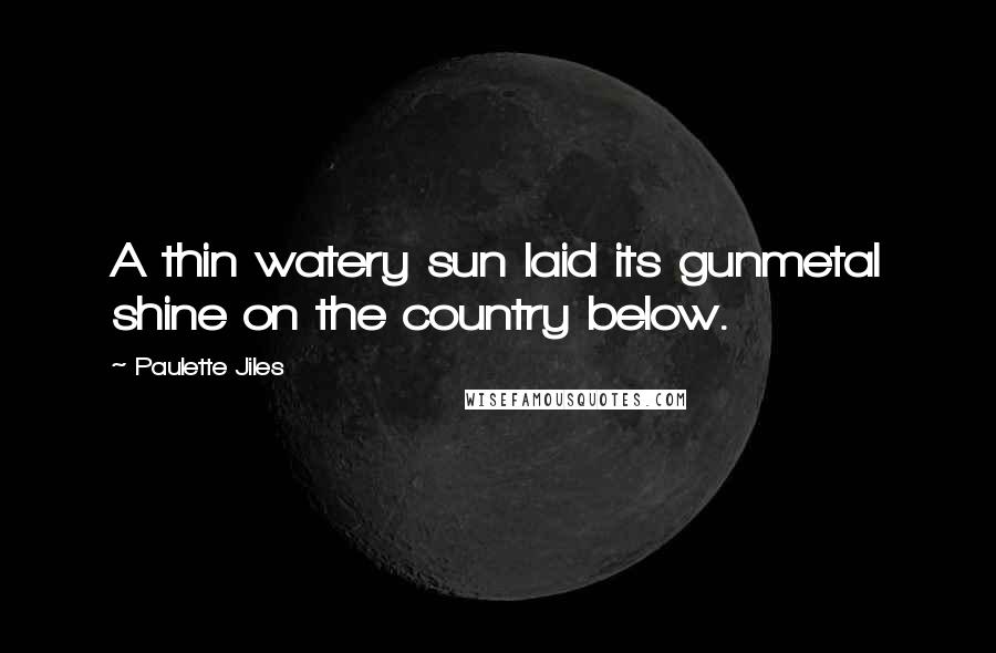 Paulette Jiles Quotes: A thin watery sun laid its gunmetal shine on the country below.