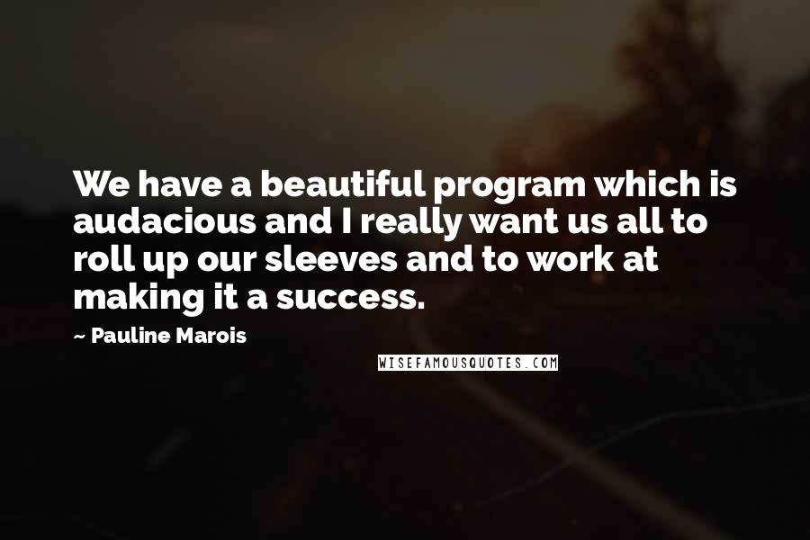 Pauline Marois Quotes: We have a beautiful program which is audacious and I really want us all to roll up our sleeves and to work at making it a success.