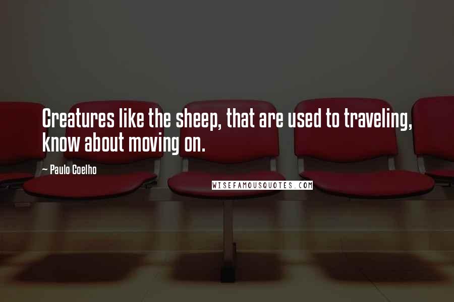 Paulo Coelho Quotes: Creatures like the sheep, that are used to traveling, know about moving on.