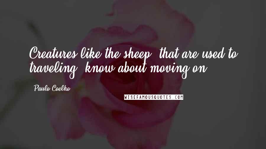 Paulo Coelho Quotes: Creatures like the sheep, that are used to traveling, know about moving on.