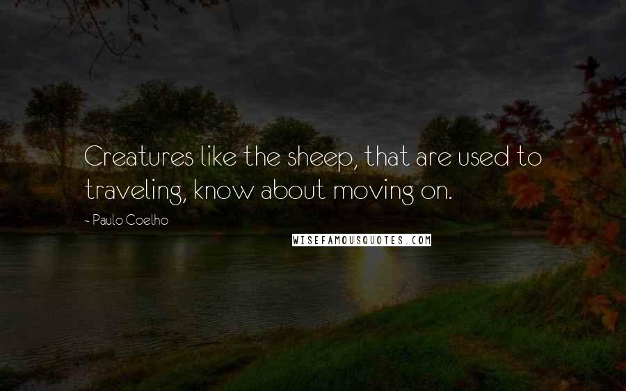 Paulo Coelho Quotes: Creatures like the sheep, that are used to traveling, know about moving on.