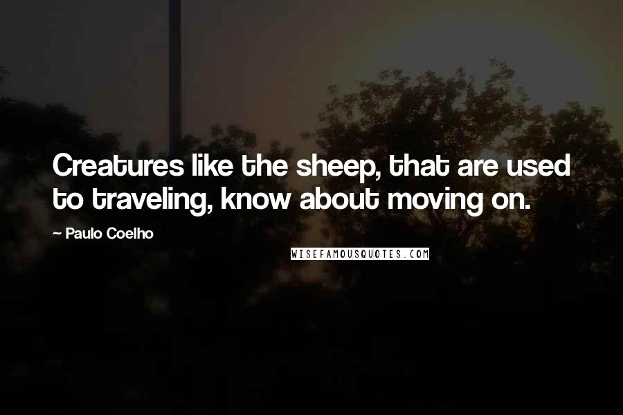 Paulo Coelho Quotes: Creatures like the sheep, that are used to traveling, know about moving on.