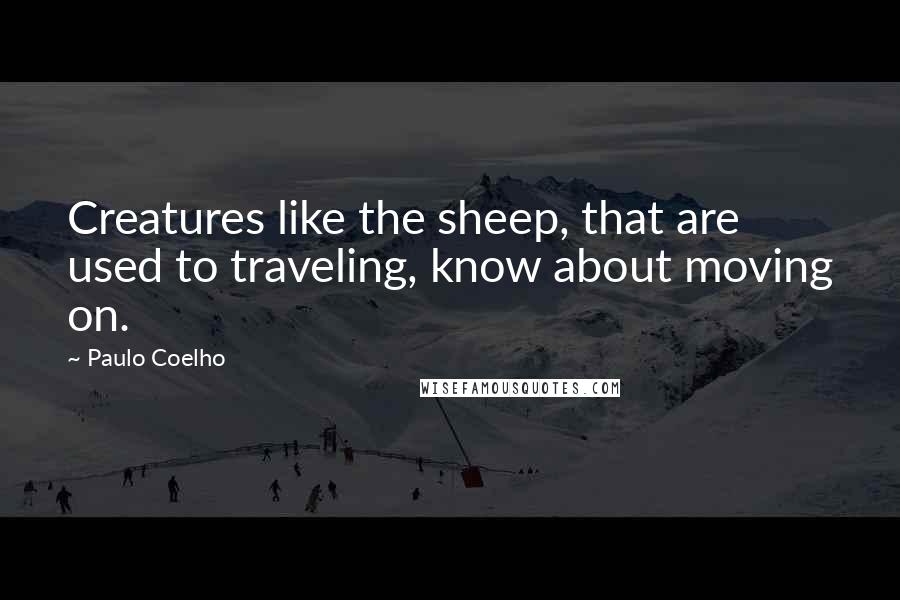 Paulo Coelho Quotes: Creatures like the sheep, that are used to traveling, know about moving on.