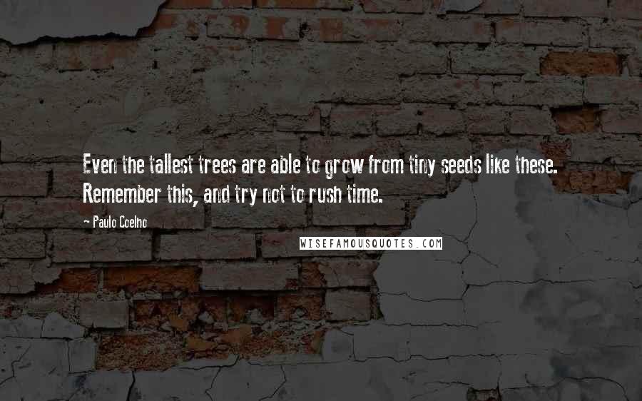 Paulo Coelho Quotes: Even the tallest trees are able to grow from tiny seeds like these. Remember this, and try not to rush time.