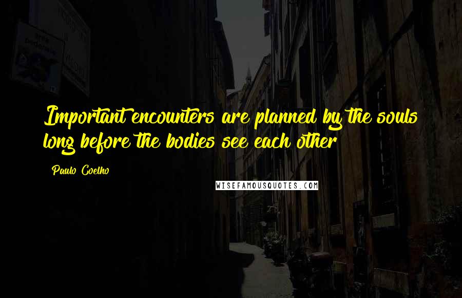 Paulo Coelho Quotes: Important encounters are planned by the souls long before the bodies see each other